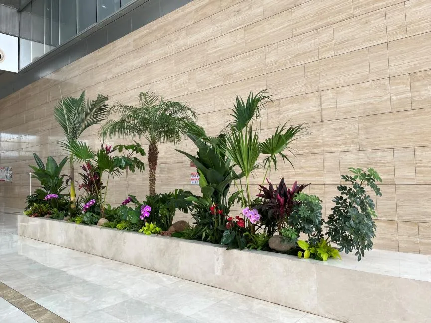 宁波北仑盆景租摆，专业服务超一流